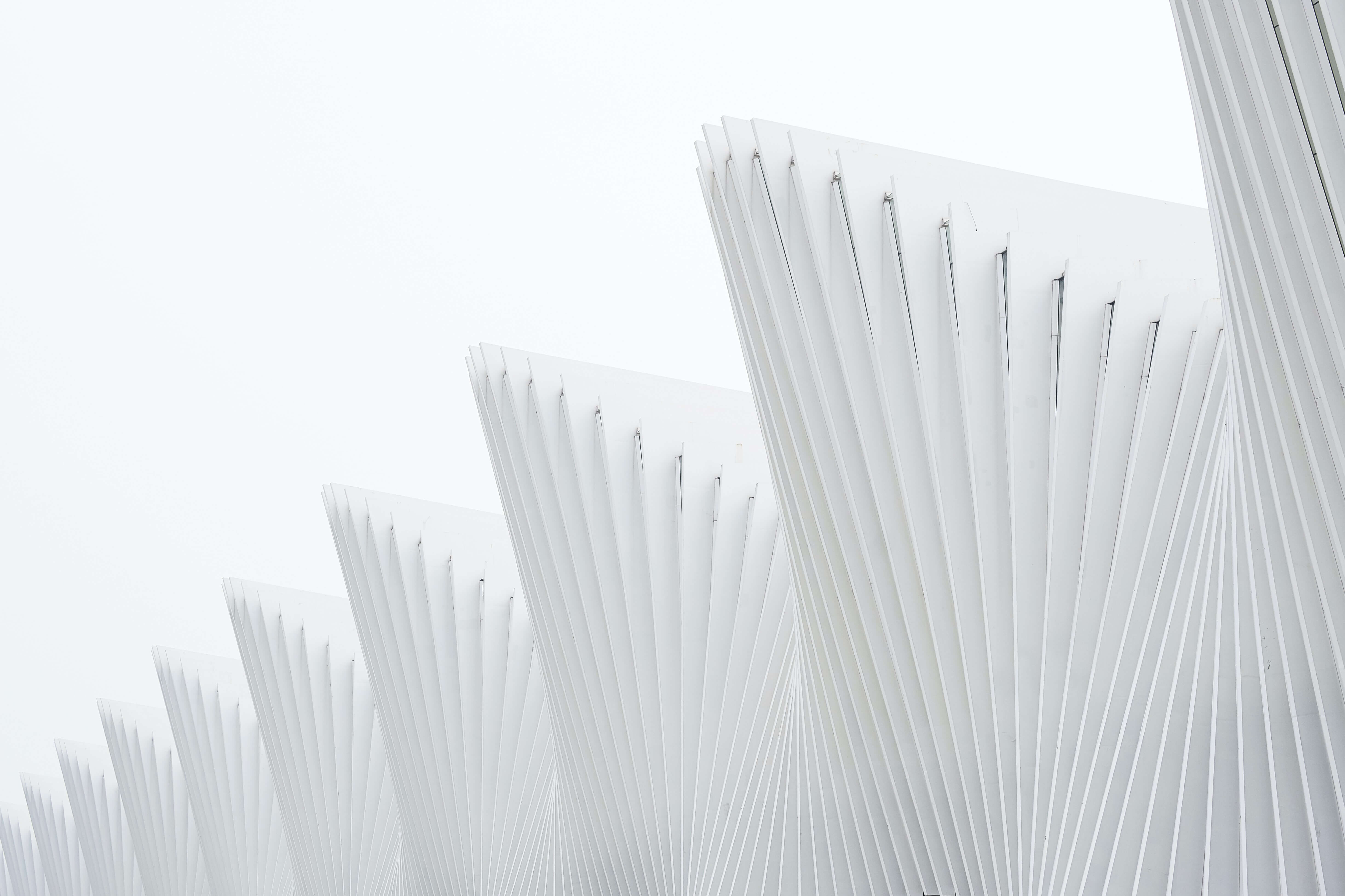 Academia de Guvernanță. Board of Trustees: The Next Level in Family Business Governance. Romania Needs Legislation on Family Foundations